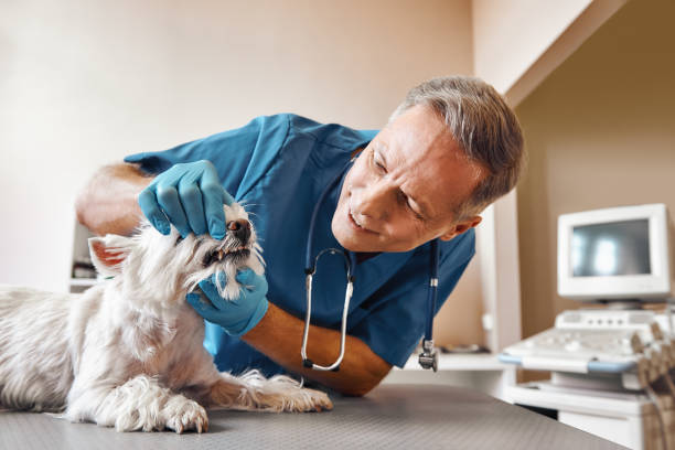 Best Emergency Denture Repair in Verona Walk, FL
